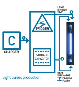 Flash production of Pulsed Light Packaging Decontamination Systems